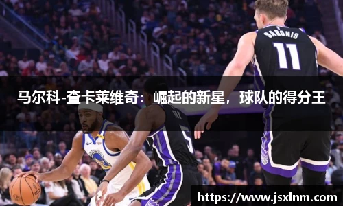 马尔科-查卡莱维奇：崛起的新星，球队的得分王
